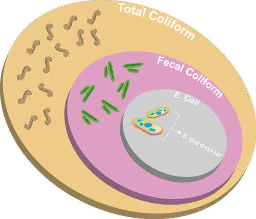 Coliform Treatment Fayetteville NC | Veteran Home Loan Test
